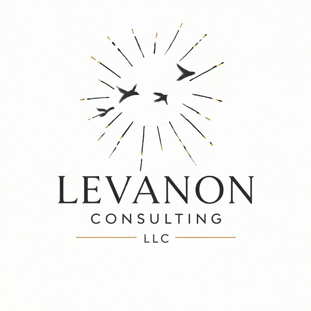 Levanon Consulting LLC